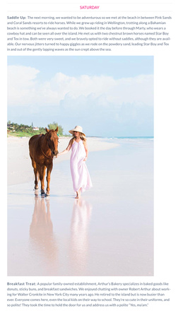 HORSES ON THE PINK SAND BEACH